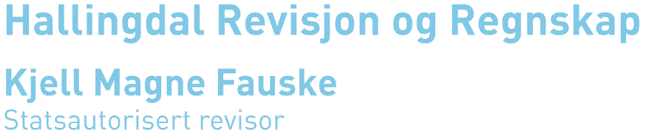 Logo, Hallingdal Revisjon og Regnskap